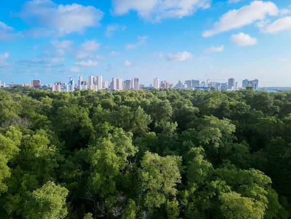 Optimisez vos finances avec solution de crédit et conseils